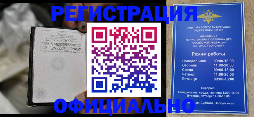 где прописаться в Гороховце